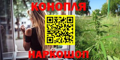 прущие крисы Аргун