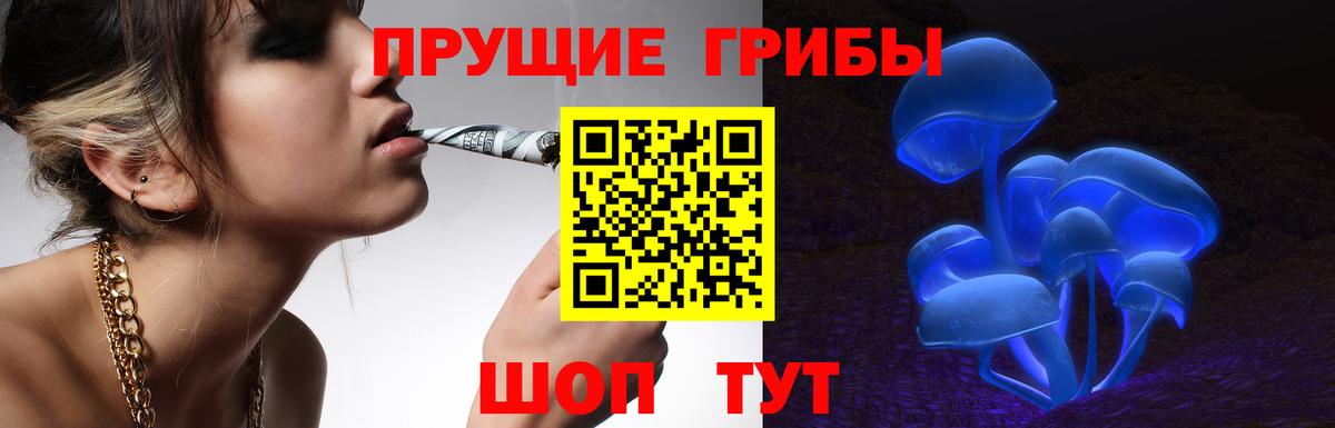 Псилоцибиновые грибы мухоморы Владивосток