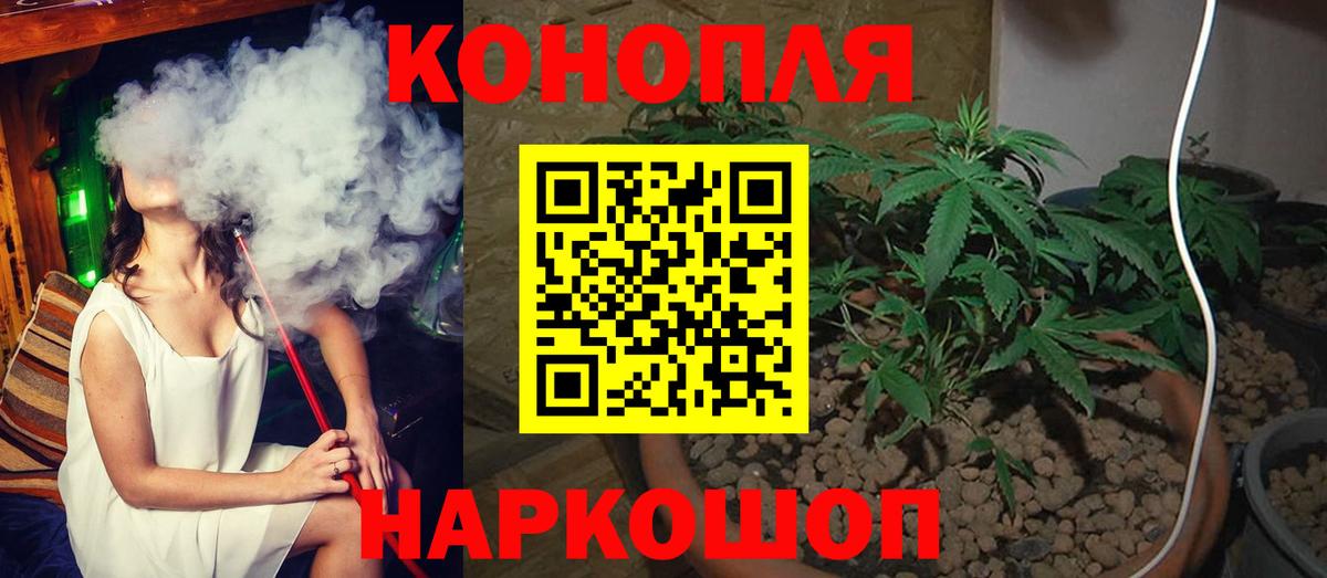 Каннабис ГИДРОПОН Владивосток